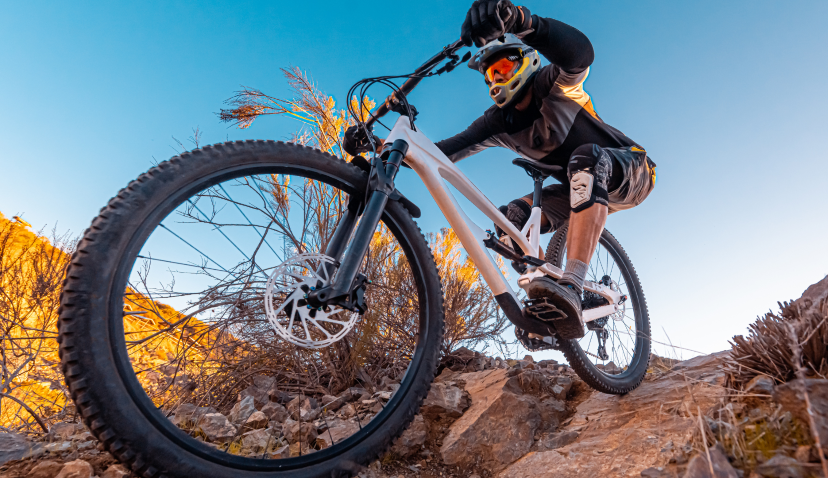 29 Inch Mountain Bikes