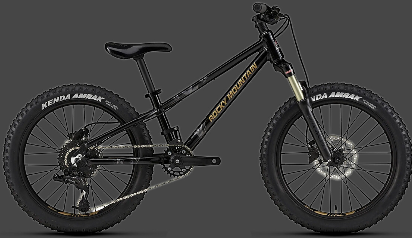 Kids Mountain Bikes